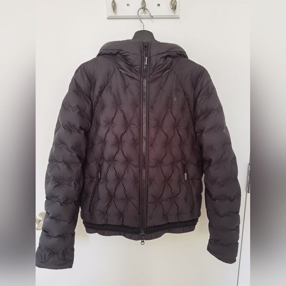 The north face goose down Jacket black L